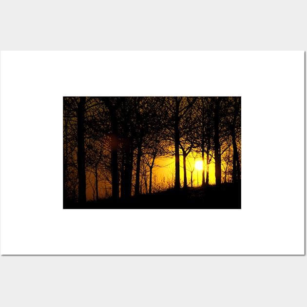 Sunset through the trees, Tandle Hills, Royton, Lancashire Wall Art by newbeltane